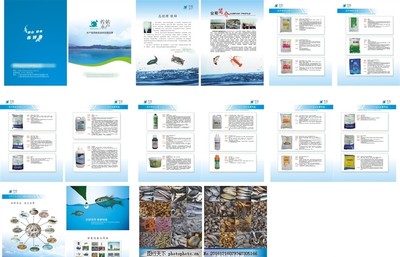 水产画册 初级农产品的自然馈赠
