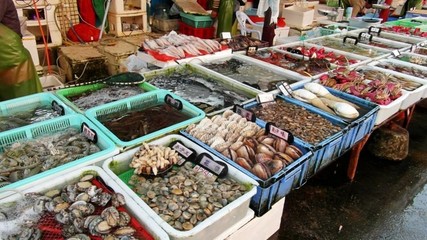 定了!东莞可乘游艇直达港澳，沿途海鲜美食享不停