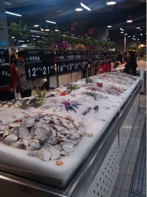 水产陈列大全 初级农产品展示技巧与实用指南