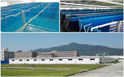 再见了池塘！鱼虾在工厂里规模化养殖的未来