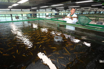 浙江湖州 智能化循环水养殖开启水产养殖新篇章，效益与品质双提升