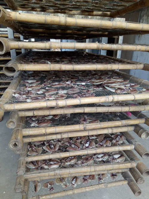 定制化烘干解决方案 红薯粉、龙眼荔枝、药材与水产品的专业设备