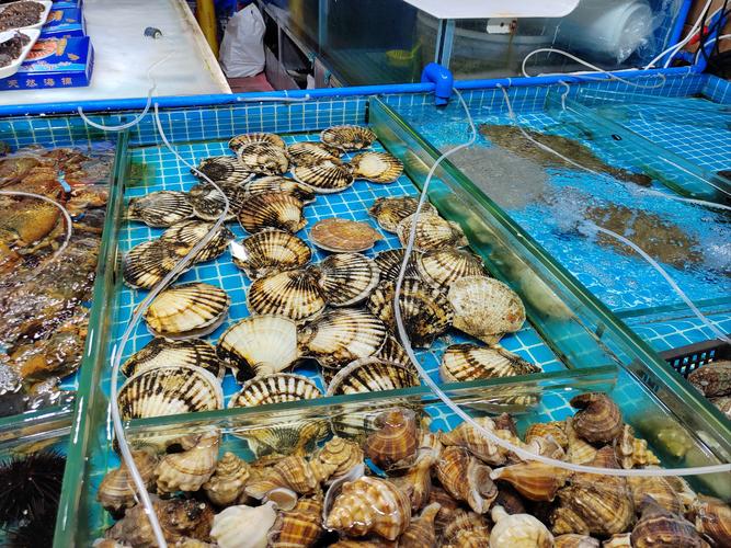 探寻水产市集 鲜美水产品的寻味之旅