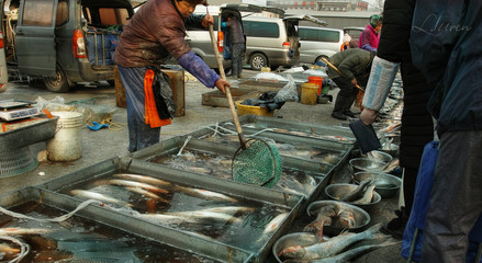 浮生拾梦录 | 2018年北京高丽营大集的水产品印记