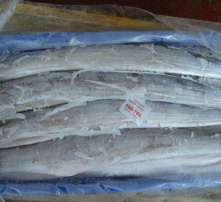 探寻海洋瑰宝 高清图片下的水产品之美