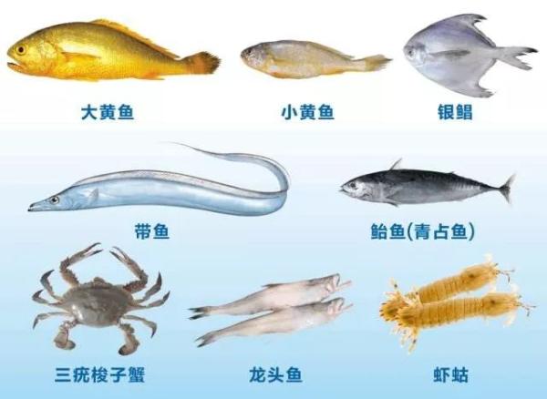 东海等海域即将迎来禁渔期 “热气”高档海鲜每天一价